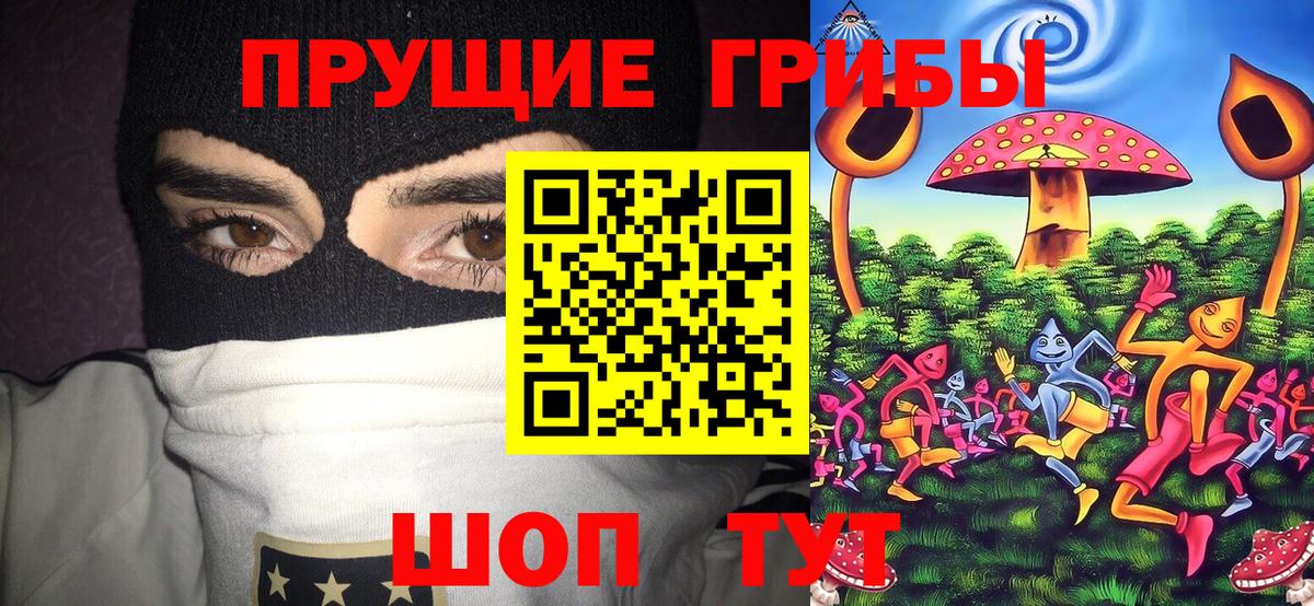 Псилоцибиновые грибы мицелий  Вход с VPN  Армавир  Псилоцибиновые грибы мухоморы 